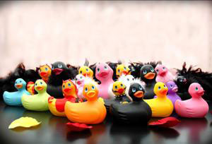 Photo de sextoy canard